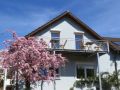Das blaue Haus